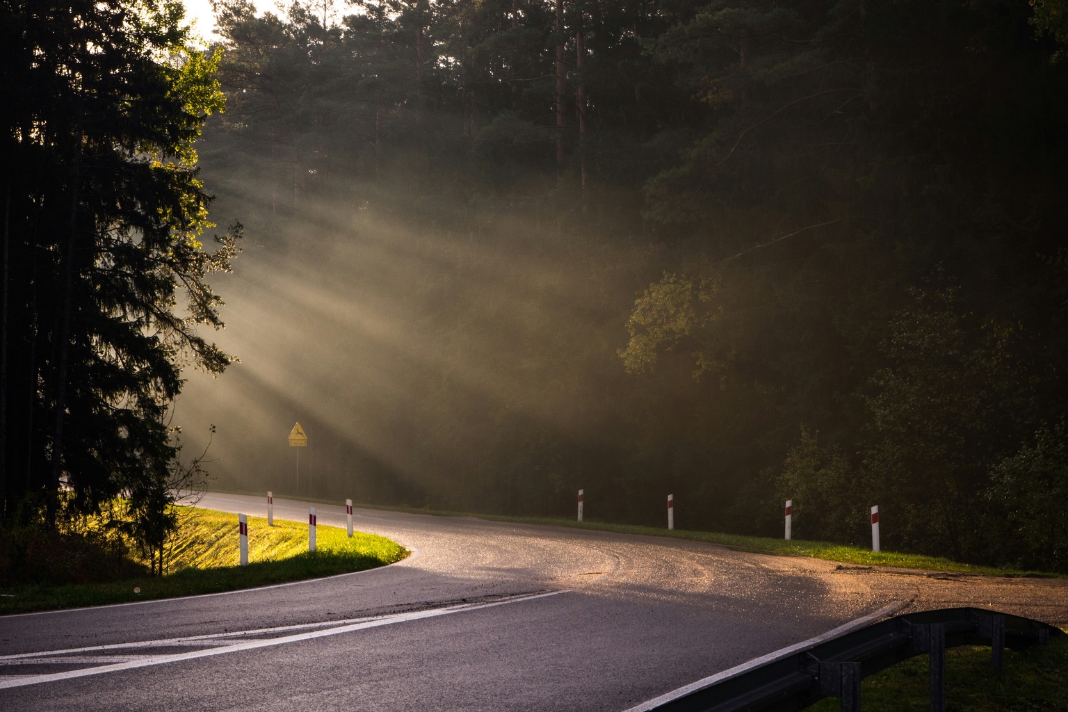 The path forward